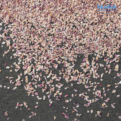 Dehydrated Pink Onion Minced - Sample