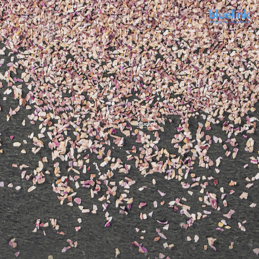 Dehydrated Pink Onion Granules (0.2 - 0.5 MM)