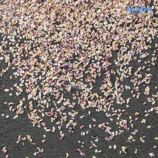 Dehydrated Pink Onion Granules (0.5 - 1 MM)