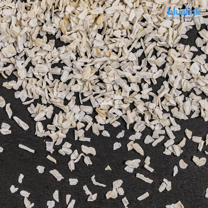 Dehydrated White Onion Chopped