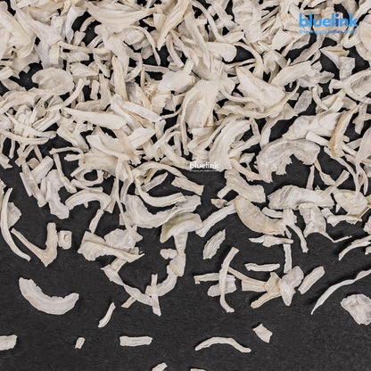 Dehydrated White Onion Kibbled